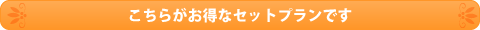 こちらがお得なセットプランです